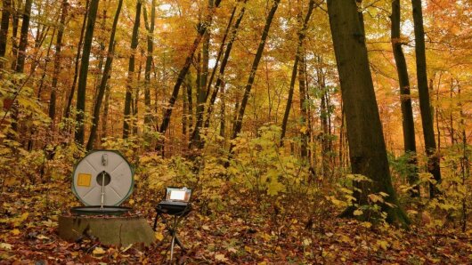 Grundwassermonitoring im Nationalpark Hainich