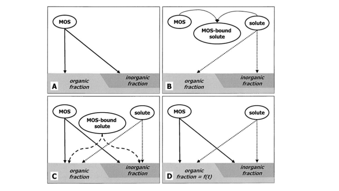 Graphisches Schema der Interaktion und des Transports mobiler Sorbenten im porösen Medium