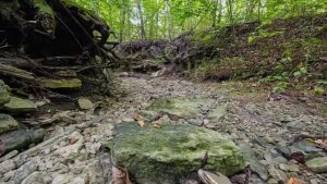 Dürresommer 2022: Das ausgetrocknete Flussbett der Leutra bei Jena.